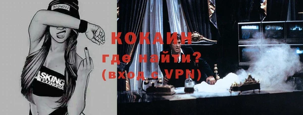 сатива Аркадак