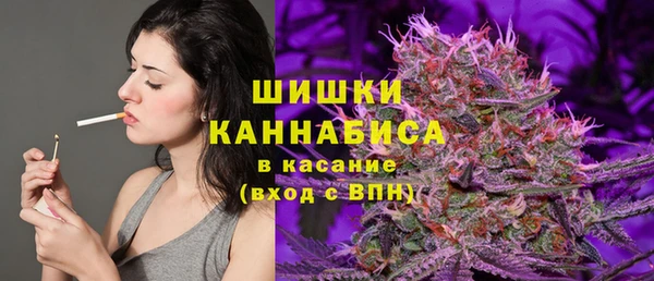 сатива Аркадак