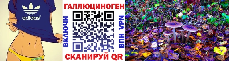 Купить закладки  Пикалёво  Псилоцибиновые грибы GOLDEN TEACHER 